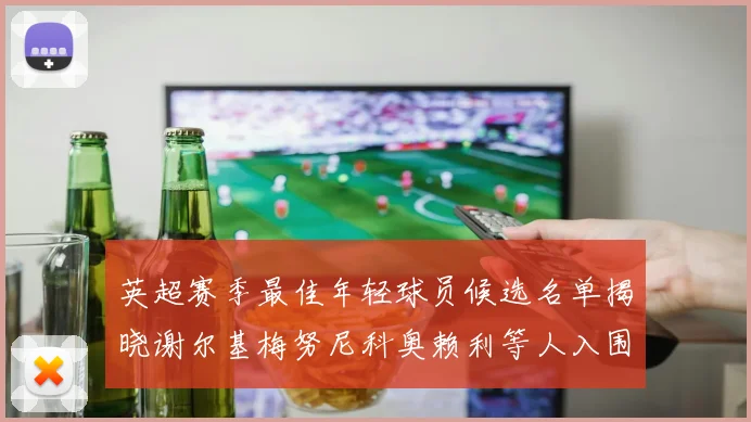 英超赛季最佳年轻球员候选名单揭晓谢尔基梅努尼科奥赖利等人入围