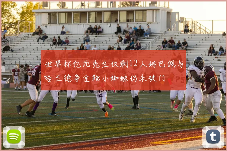 世界杯亿元先生仅剩12人姆巴佩与哈兰德争金靴小蜘蛛仍未破门